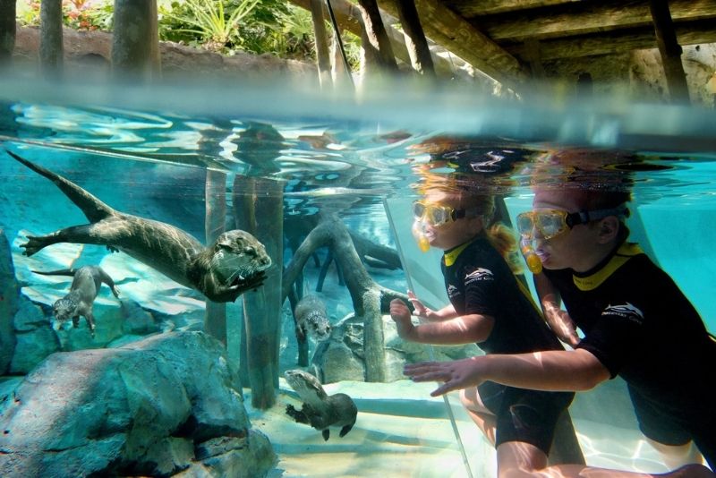 Los 11 Mejores Parques de Agua en Orlando