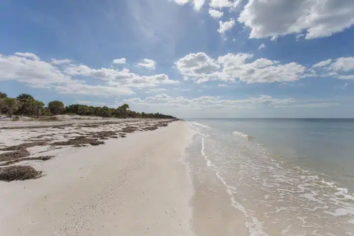 Las 5 mejores playas cerca de Clearwater, Fl