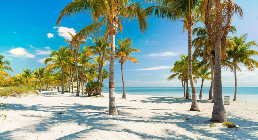 Mejores Playas de Miami para Niños